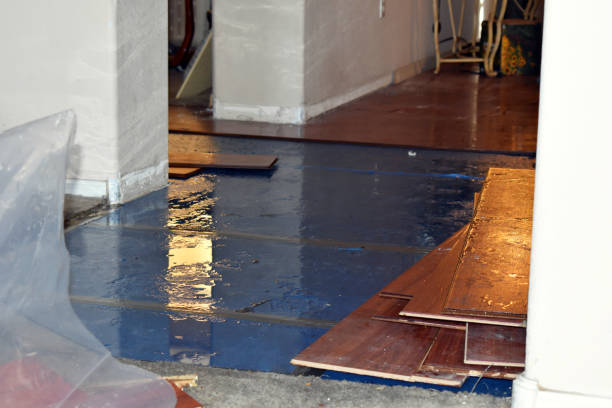 Professional Basement Water Removal technician working in Bay City, TX