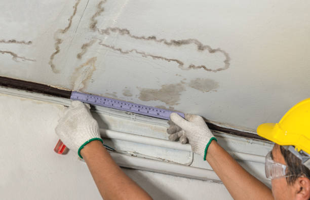 Reliable Basement Water Removal contractor in Bay City, TX by Water Damage Irwin
